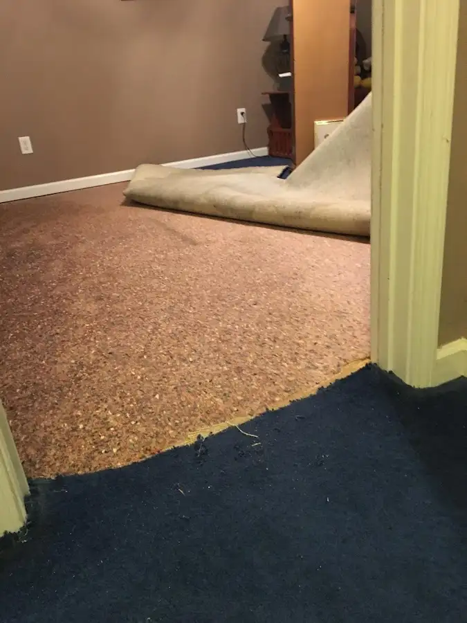 Carpet pad removal revealing water damage during Water Mitigation Services in Edwards