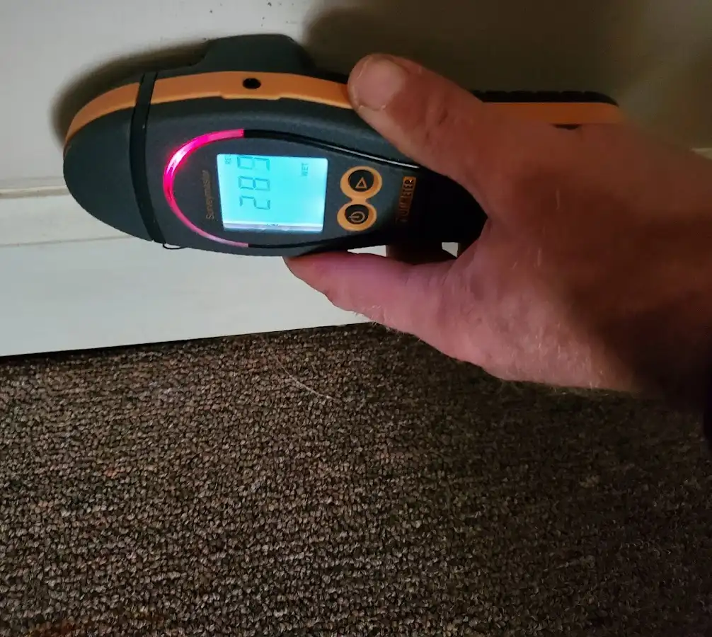 Moisture detection at baseboard during Sewage Cleanup & Sanitation in Edwards